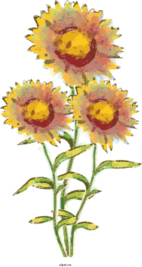 Free Flowers Common Sunflower Painting Design For Flower Clipart Clipart Transparent Background
