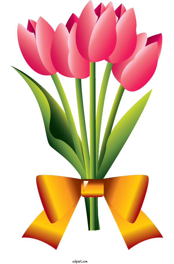 Free Flowers Tulip Flower Bouquet Floral Design For Tulip Clipart Transparent Background
