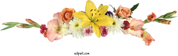 Free Flowers Flower Floral Design Cut Flowers For Flower Clipart Clipart Transparent Background