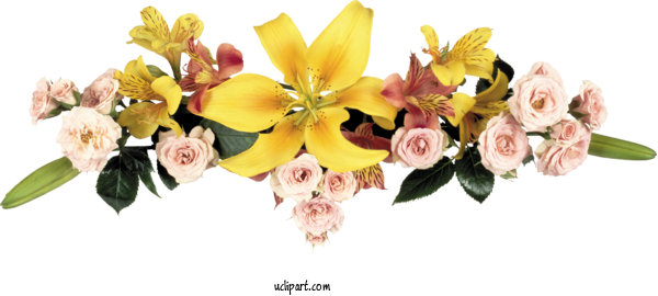 Free Flowers Iftar Suhur Dua For Flower Clipart Clipart Transparent Background