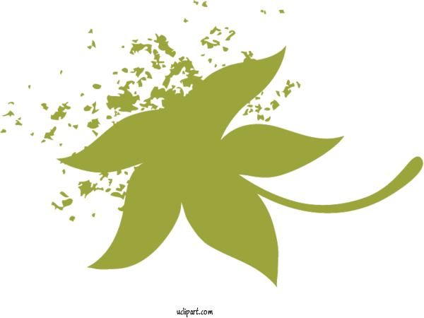 Free Nature Plant Stem Leaf Font For Leaf Clipart Transparent Background