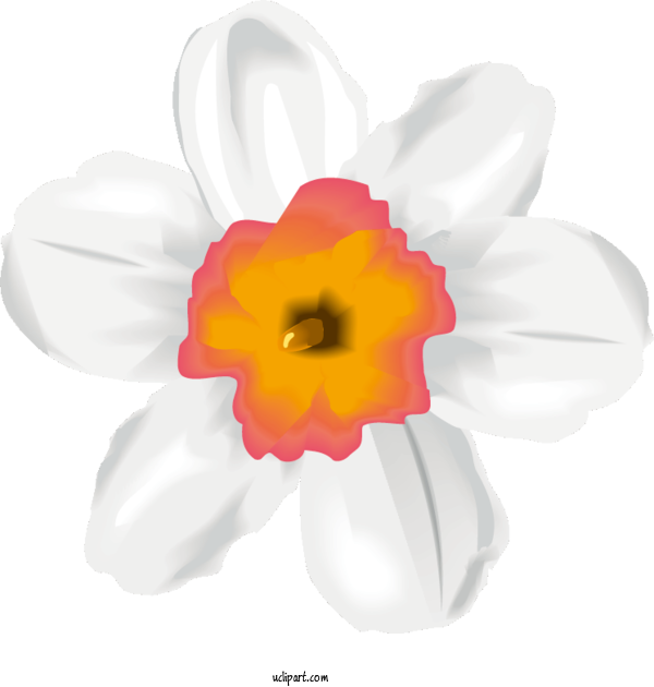 Free Flowers Tulip Petal For Flower Clipart Clipart Transparent Background