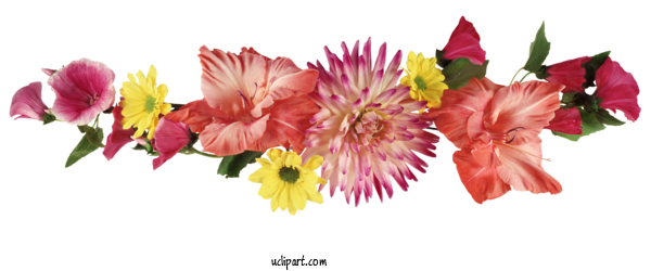 Free Flowers Flower Cut Flowers For Flower Clipart Clipart Transparent Background