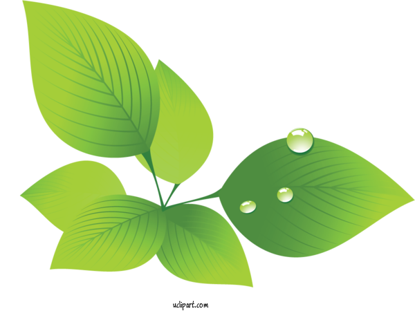 Free Nature Leaf Plant Stem Bofutsushosan For Leaf Clipart Transparent Background