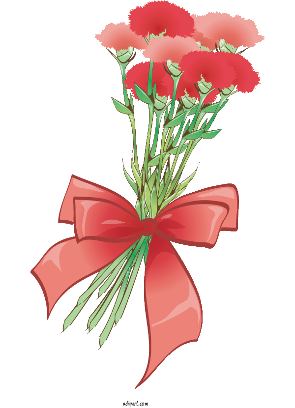 Free Flowers Carnation Cut Flowers Floral Design For Flower Clipart Clipart Transparent Background
