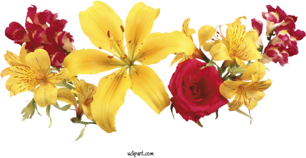 Free Flowers Floral Design Flower Lily For Flower Clipart Clipart Transparent Background