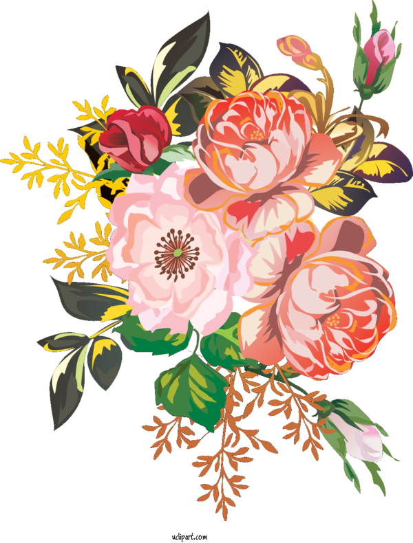 Free Flowers Flower Design Drawing For Peony Clipart Transparent Background