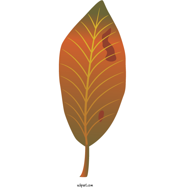 Free Nature Leaf Plants Science For Leaf Clipart Transparent Background