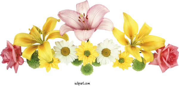 Free Flowers Lily Flower Design For Flower Clipart Clipart Transparent Background