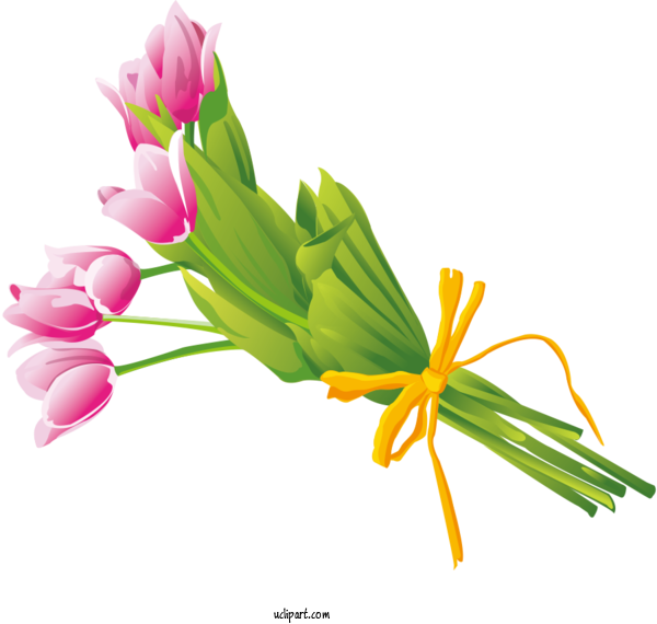 Free Flowers Flower Bouquet Flower Floral Design For Tulip Clipart Transparent Background