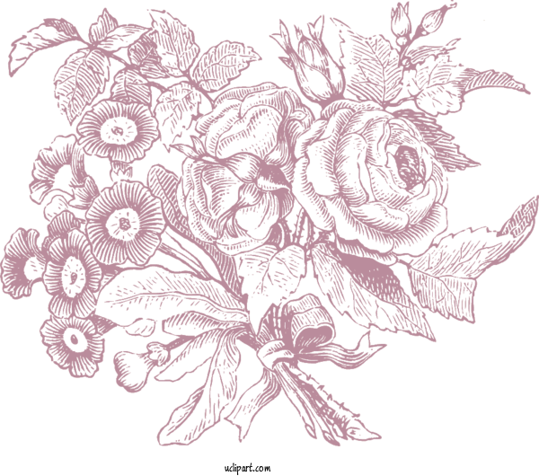 Free Flowers Flower Line Art Engraving For Flower Clipart Clipart Transparent Background
