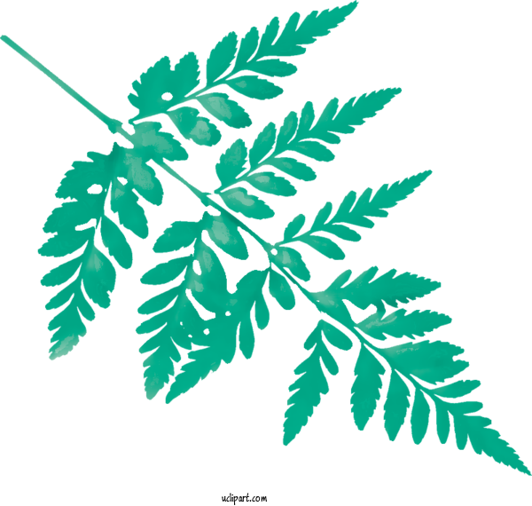 Free Nature Twig Leaf Plant Stem For Leaf Clipart Transparent Background