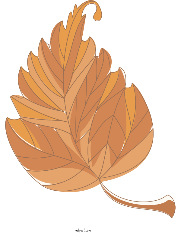 Free Nature Leaf Deciduous Orange For Leaf Clipart Transparent Background