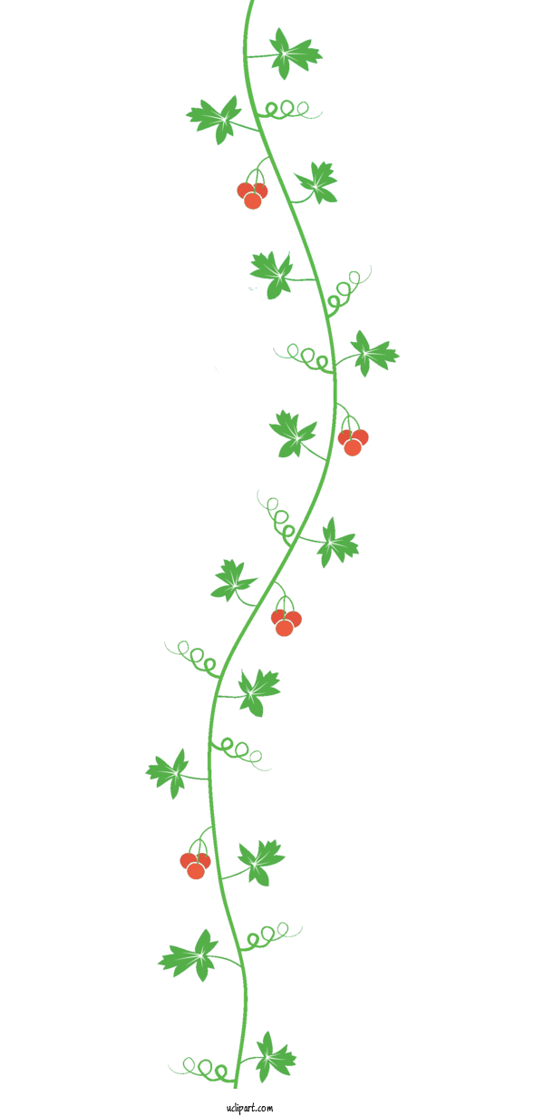 Free Flowers Twig Leaf Common Ivy For Flower Clipart Clipart Transparent Background