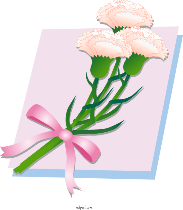 Free Flowers Floral Design Cut Flowers Carnation For Flower Clipart Clipart Transparent Background