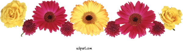 Free Flowers Chrysanthemum Flower Design For Flower Clipart Clipart Transparent Background