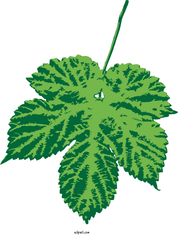 Free Nature Leaf Green Plant Stem For Leaf Clipart Transparent Background