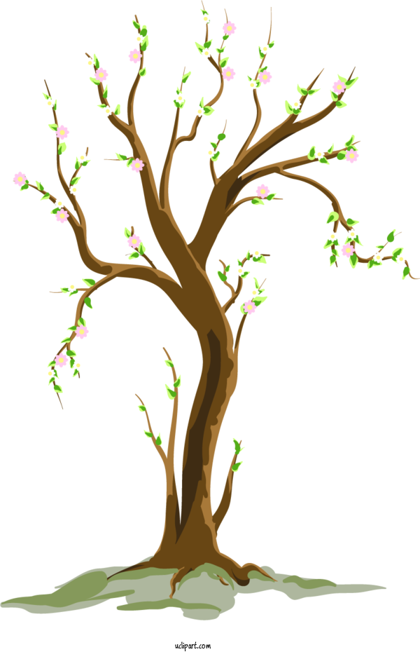 Free Nature Transparency Cartoon Tree For Tree Clipart Transparent Background
