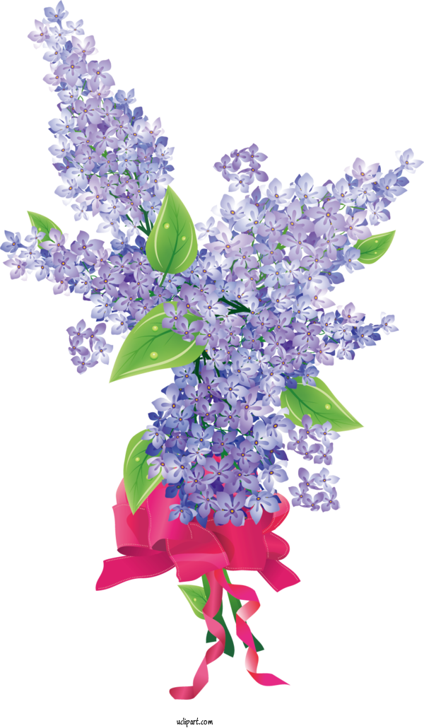 Free Flowers	 Flower Common Lilac Watercolor Painting For Flower Clipart Clipart Transparent Background
