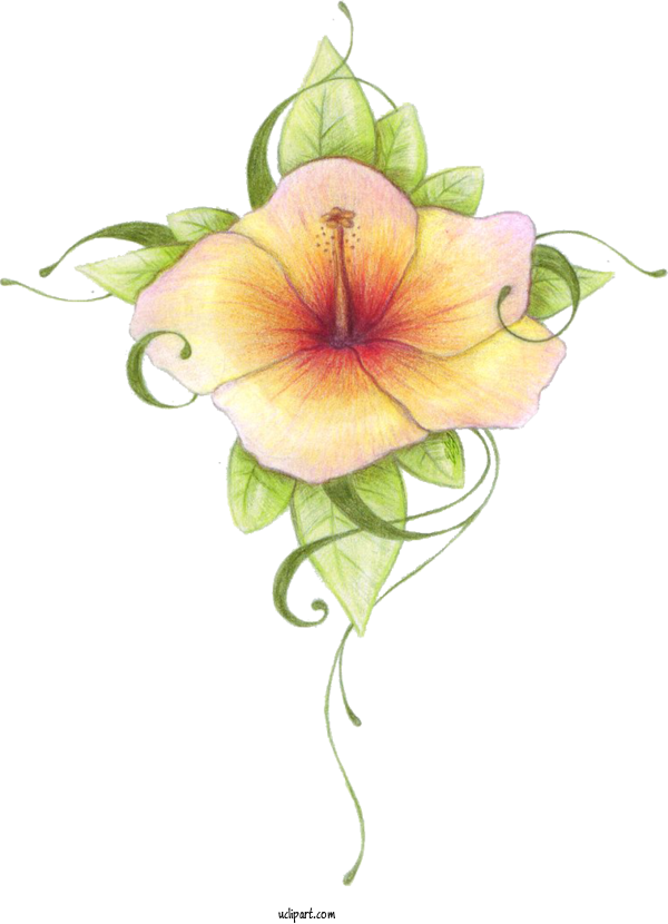 Free Flowers Hibiscus Tattoo Design For Flower Clipart Clipart Transparent Background