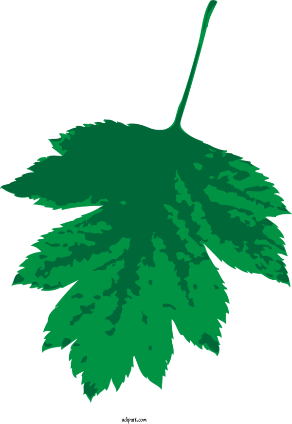 Free Nature Plant Stem Leaf Produce For Leaf Clipart Transparent Background