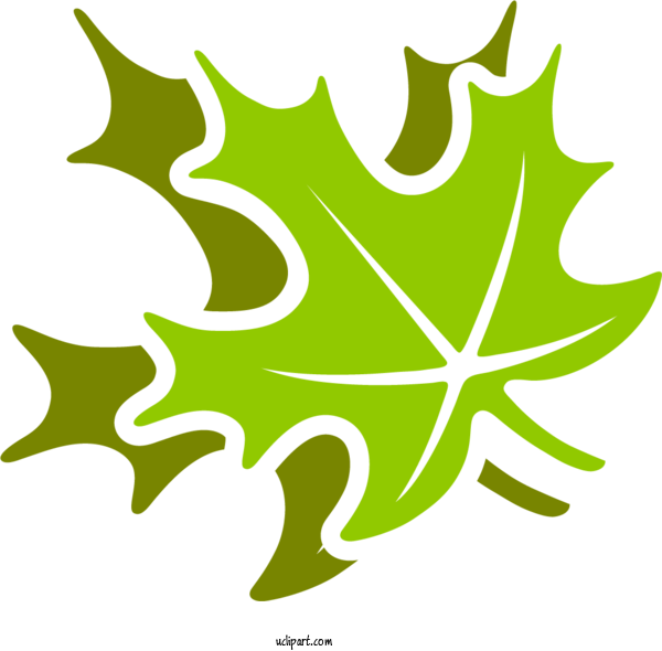 Free Nature Plant Stem Leaf Maple For Leaf Clipart Transparent Background