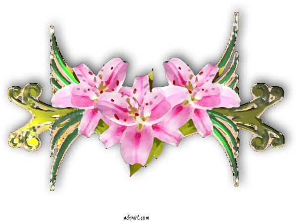 Free Flowers Floral Design Lily Lily 'Stargazer' For Lily Clipart Transparent Background