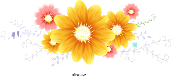 Free Flowers Design Transvaal Daisy Floral Design For Flower Clipart Clipart Transparent Background