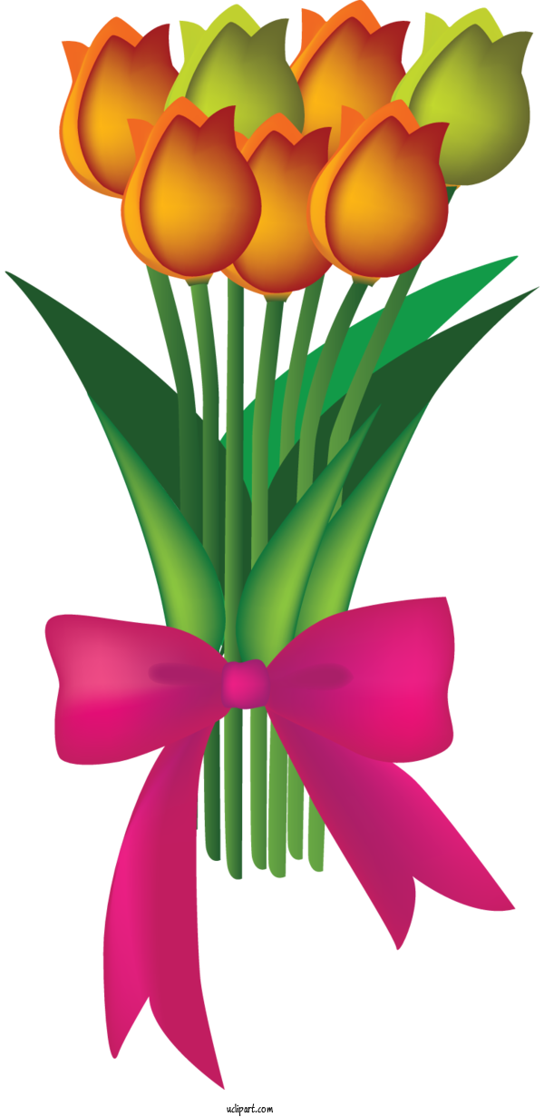 Free Flowers Tulip Flower Floral Design For Tulip Clipart Transparent Background