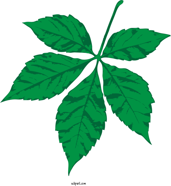 Free Nature Leaf Cartoon Design For Leaf Clipart Transparent Background