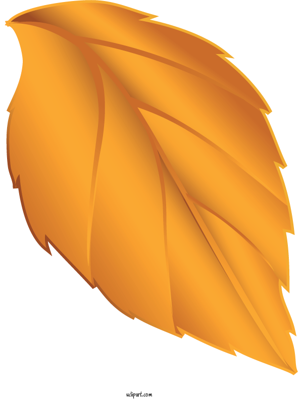 Free Nature Leaf Vein Maple Leaf For Leaf Clipart Transparent Background