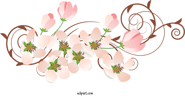 Free Flowers Drawing Design Flower For Flower Clipart Clipart Transparent Background