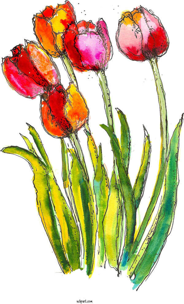 Free Flowers Watercolor Painting Painting Drawing For Flower Clipart Clipart Transparent Background