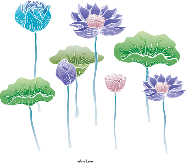 Free Flowers Sacred Lotus Painting Painting For Flower Clipart Clipart Transparent Background