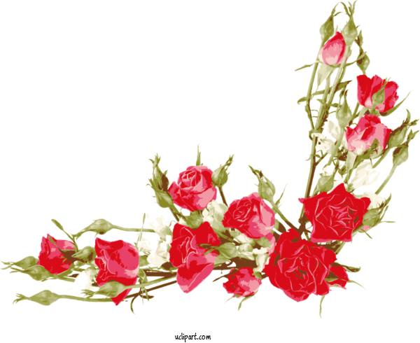 Free Flowers Rose Flower Flower Bouquet For Flower Clipart Clipart Transparent Background