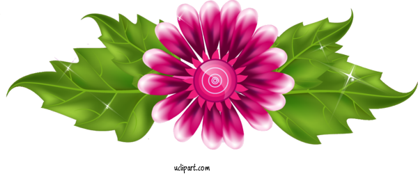 Free Flowers Teacher Dahlia Knowledge For Flower Clipart Clipart Transparent Background