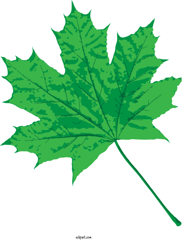 Free Nature Language Leaf For Leaf Clipart Transparent Background