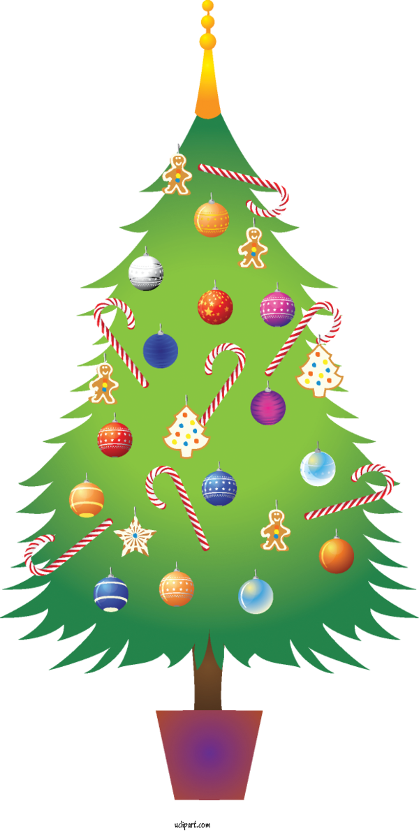 Free Nature Christmas Day Christmas Ornament Christmas Tree For Tree Clipart Transparent Background
