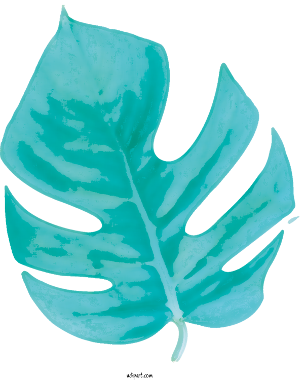Free Nature Swiss Cheese Plant Leaf Plant Stem For Leaf Clipart Transparent Background