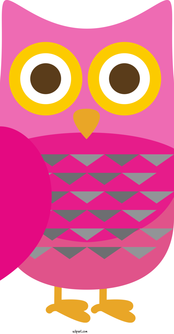 Free Animals Beak Owls Cartoon For Bird Clipart Transparent Background
