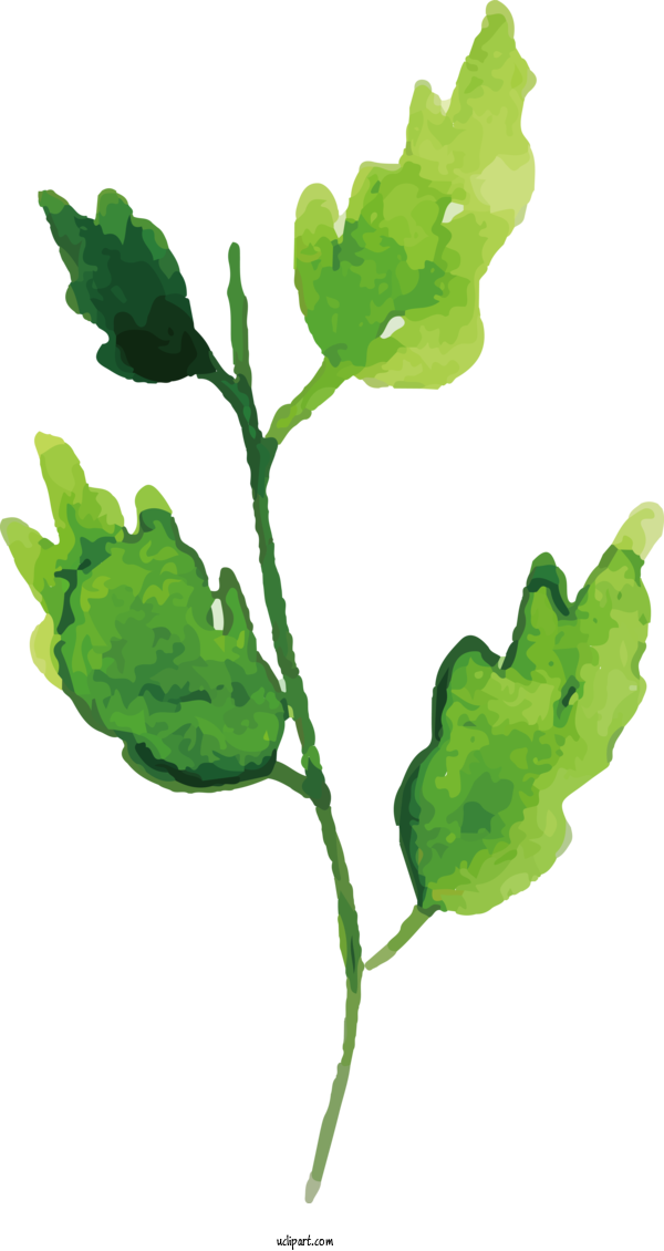 Free Nature Leaf Watercolor Painting Plant Stem For Leaf Clipart Transparent Background