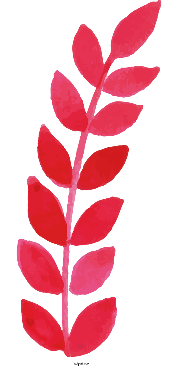 Free Nature Leaf Herb Health Plus Inc. For Leaf Clipart Transparent Background