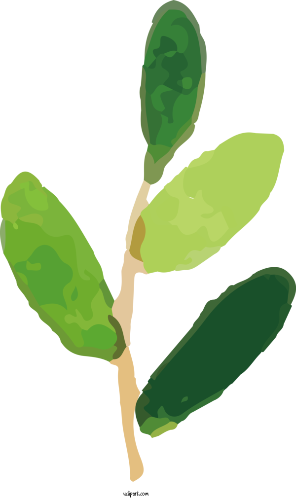 Free Nature Leaf Plant Stem Vegetable For Leaf Clipart Transparent Background