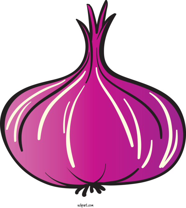 Free Food Red Onion Design Purple For Vegetable Clipart Transparent Background