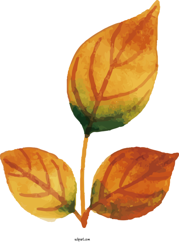 Free Nature Watercolor Painting Leaf JPEG For Leaf Clipart Transparent Background