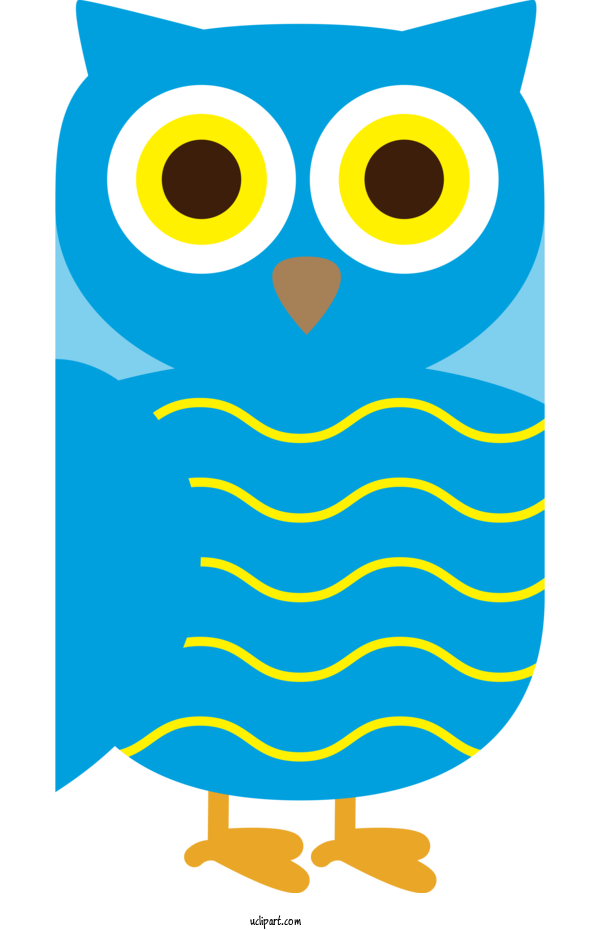 Free Animals Beak Owl M Meter For Bird Clipart Transparent Background