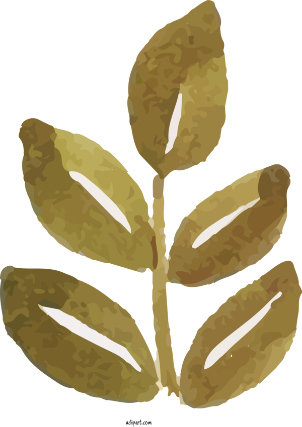 Free Nature Leaf Commodity Produce For Leaf Clipart Transparent Background