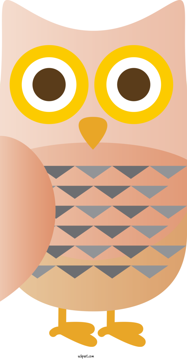 Free Animals Owls Birds Beak For Bird Clipart Transparent Background