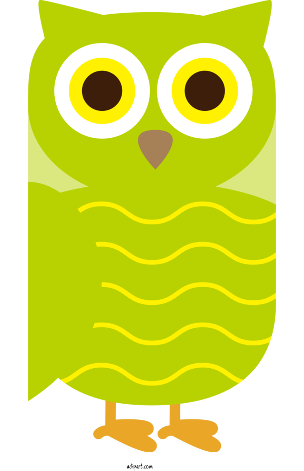 Free Animals Owl M Cartoon Green For Bird Clipart Transparent Background