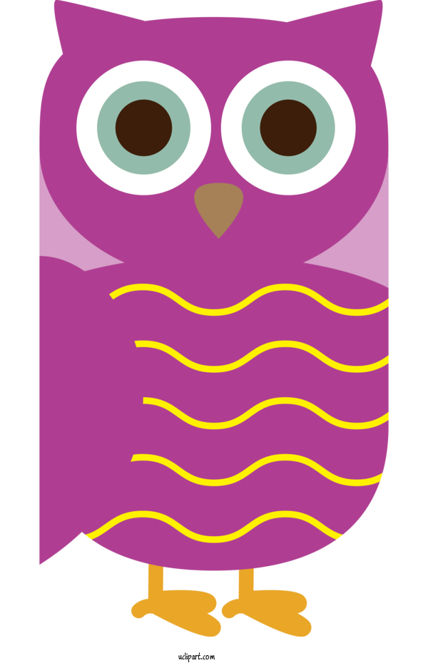 Free Animals Owl M Cartoon Meter For Bird Clipart Transparent Background